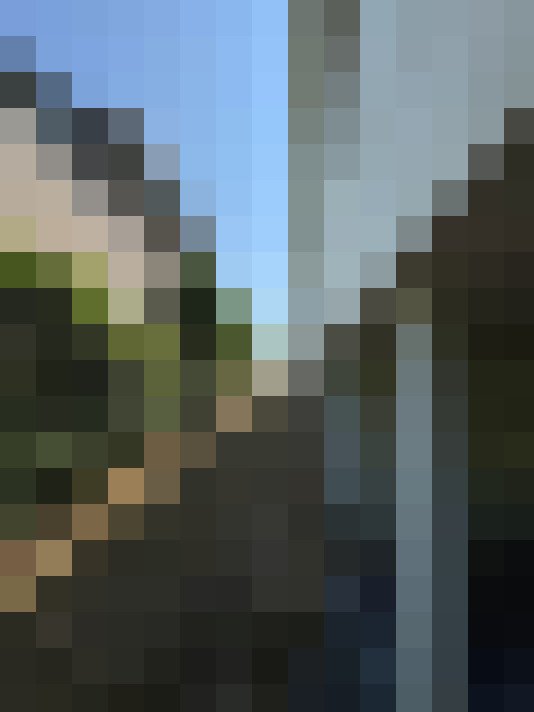 Image 33