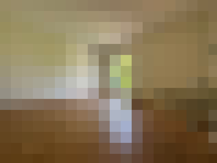 Image 26