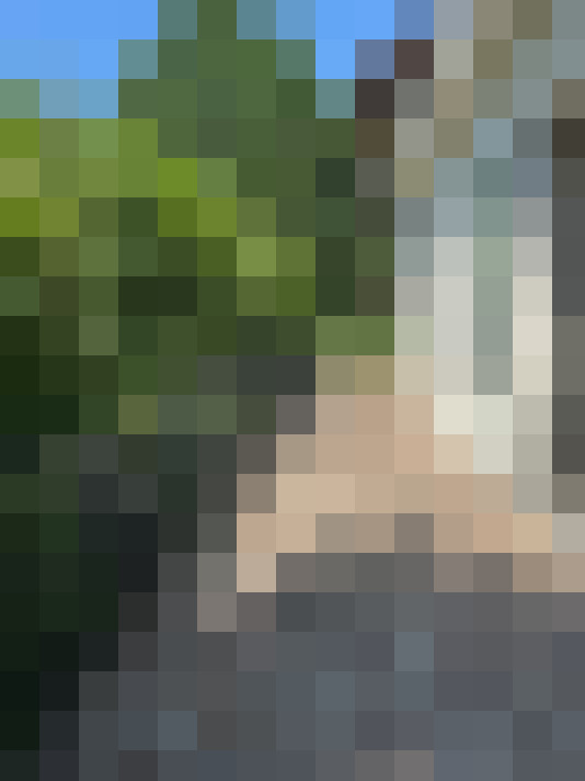 Image 13