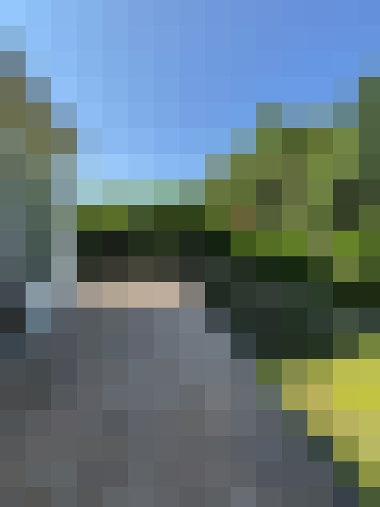 Image 16