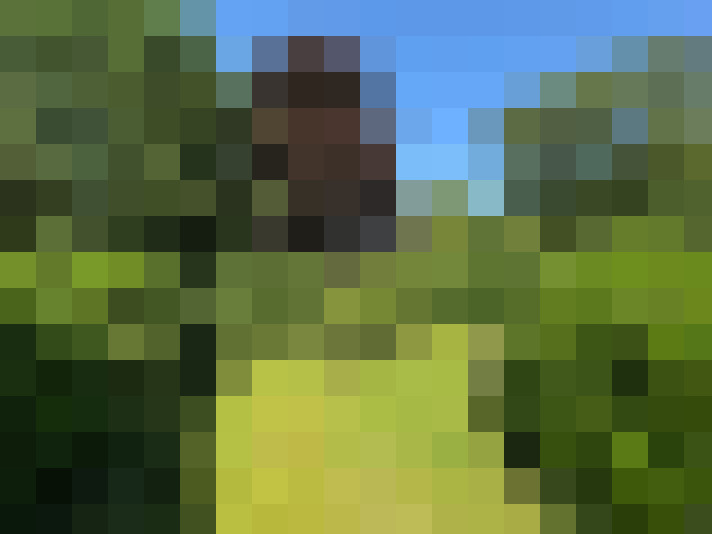 Image 15