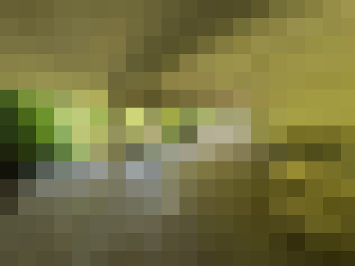 Image 30