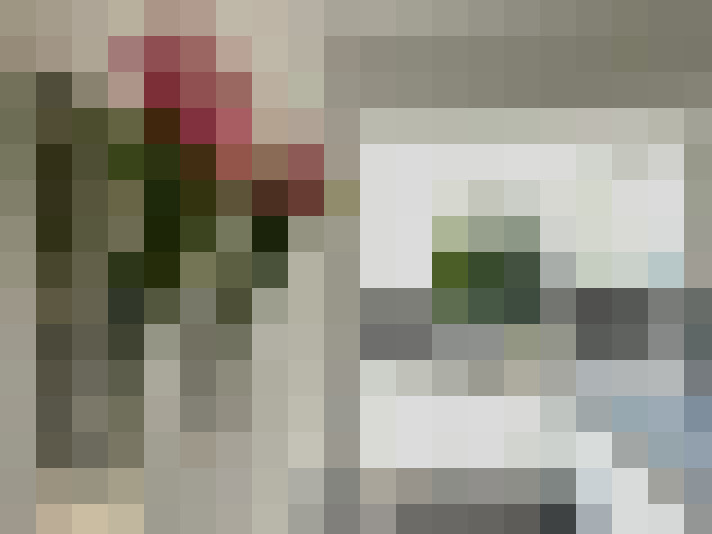 Image 15