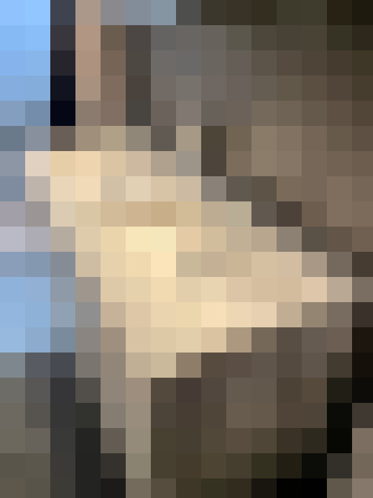 Image 39