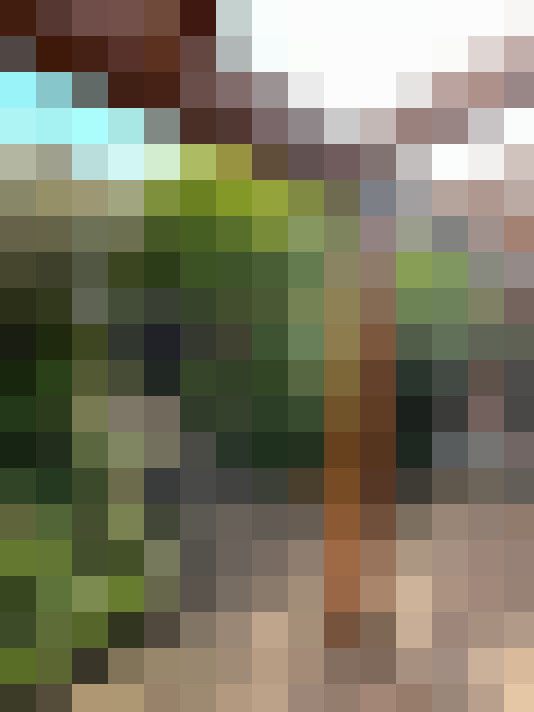Image 39