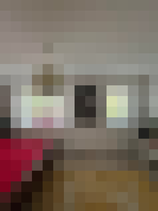 Image 28