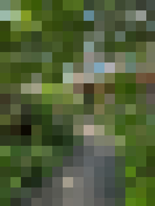 Image 43