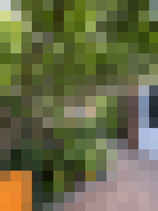 Image 41