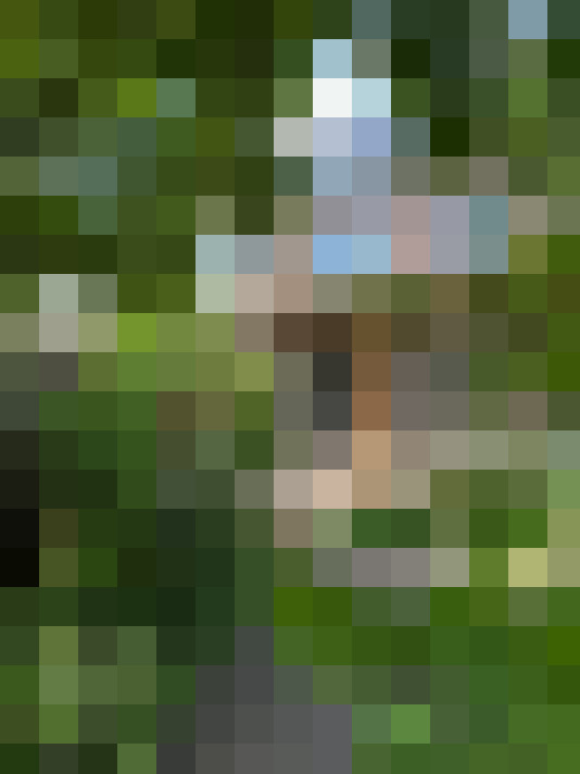 Image 44