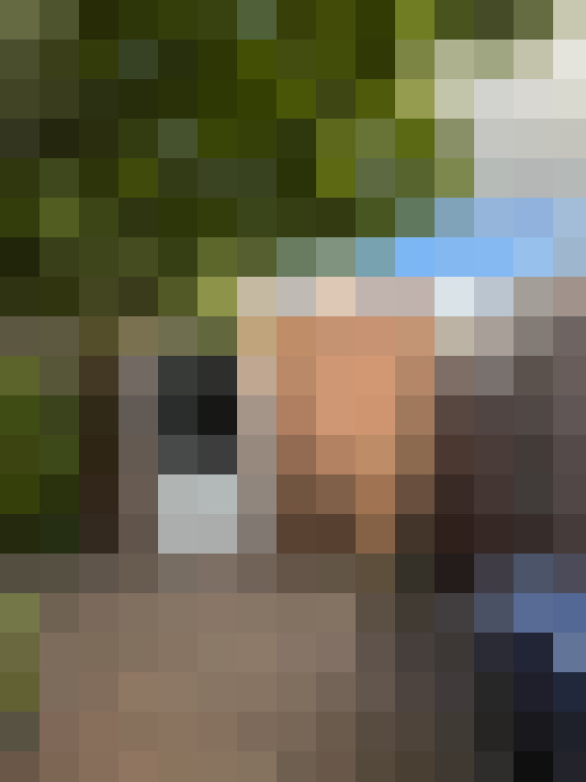 Image 40