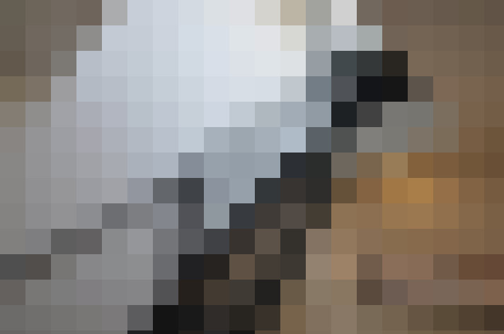 Image 30