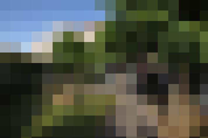 Image 22