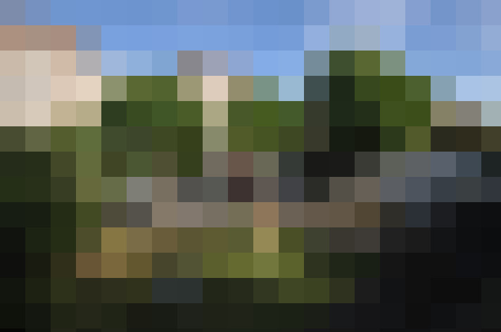 Image 21