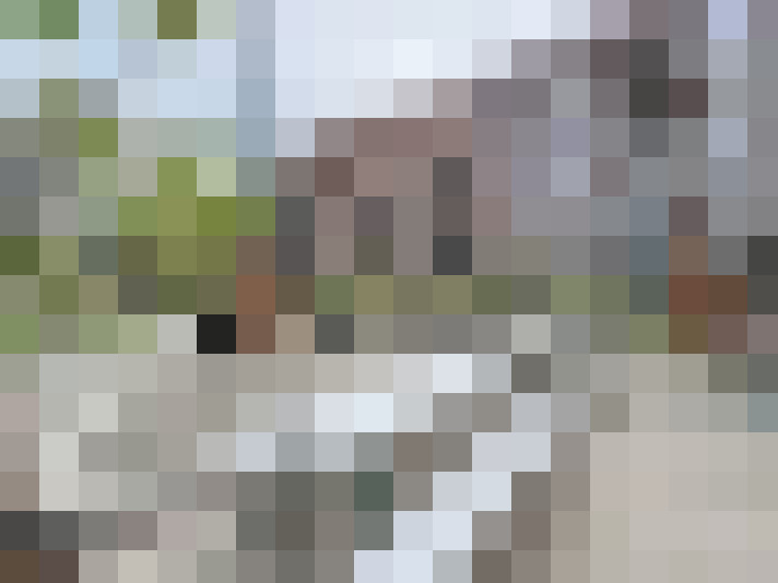 Image 38