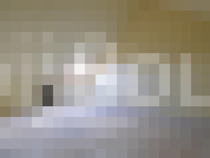 Image 19