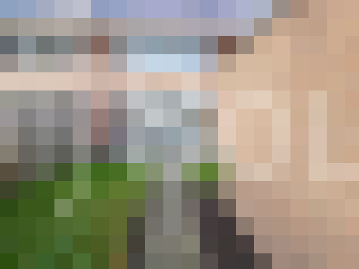 Image 20
