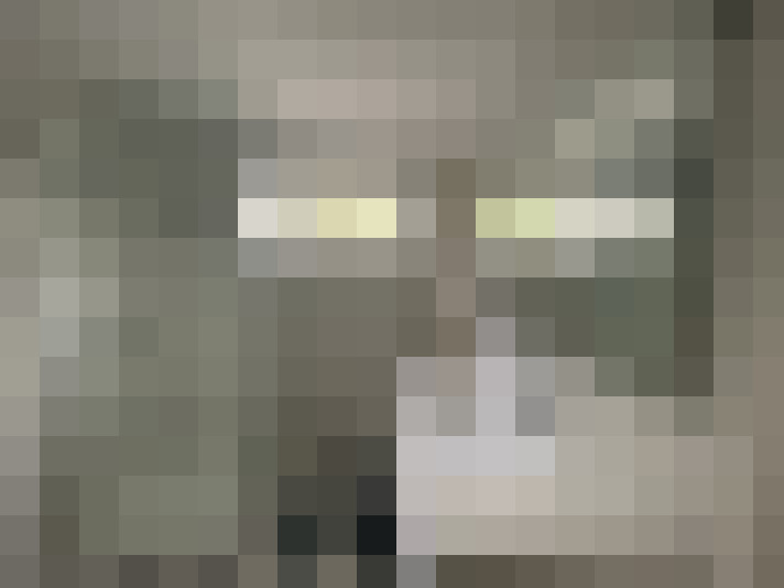 Image 15