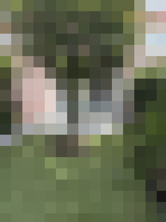 Image 16
