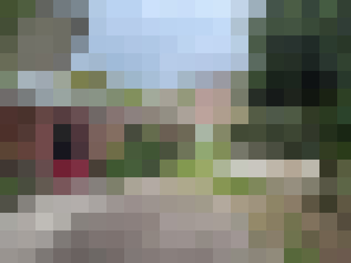 Image 28