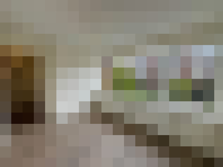 Image 14