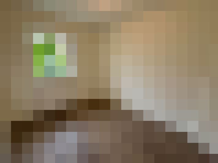 Image 17