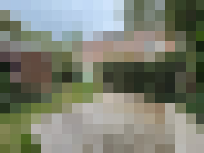 Image 29