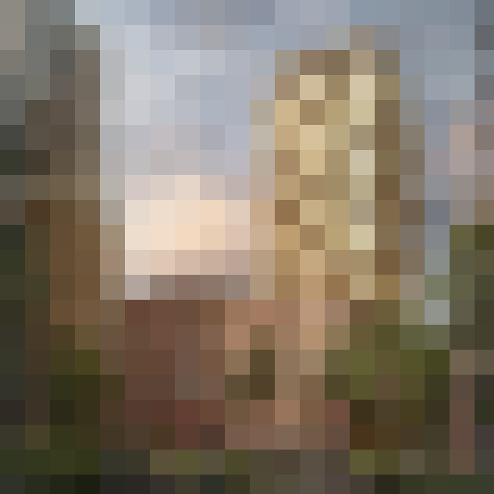 Image 15
