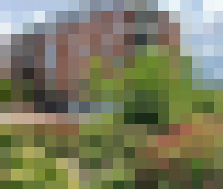 Image 23