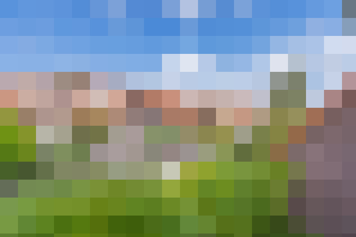 Image 31