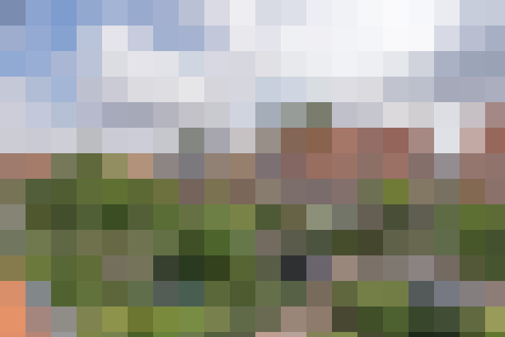 Image 14