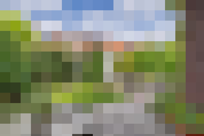 Image 24
