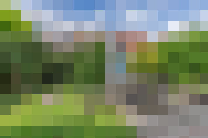 Image 25