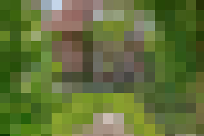 Image 27