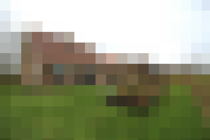 Image 23