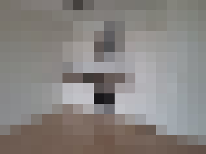 Image 14