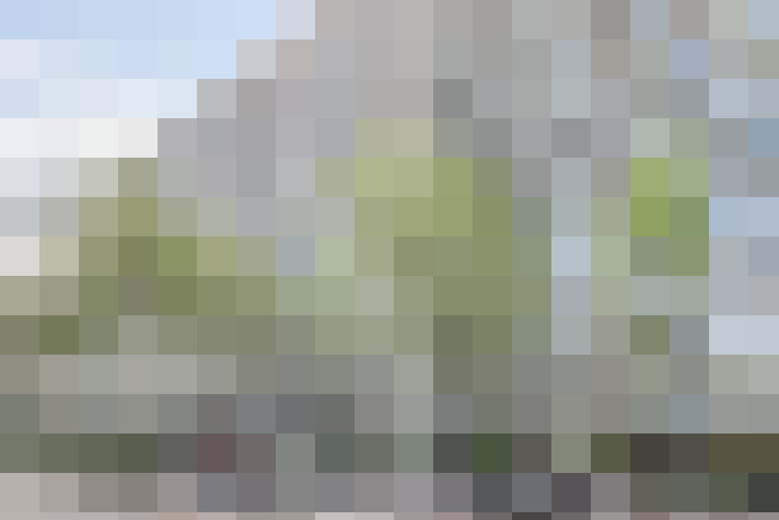 Image 17