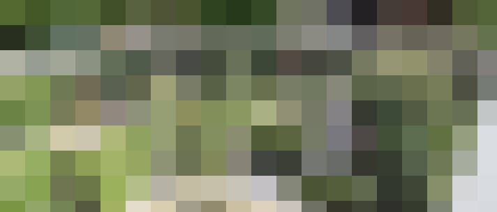 Image 20