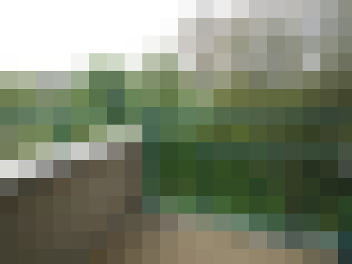 Image 17