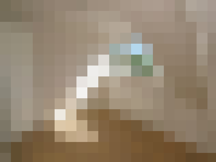 Image 16