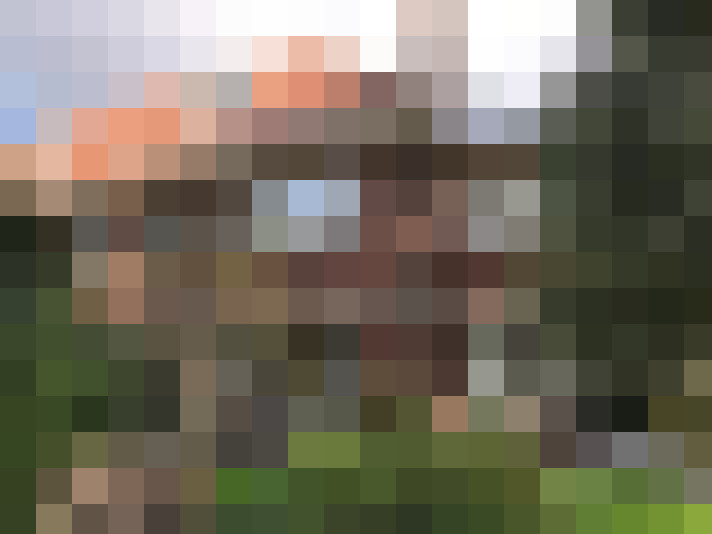 Image 23