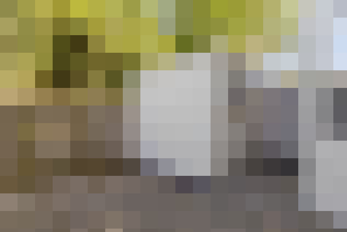 Image 23