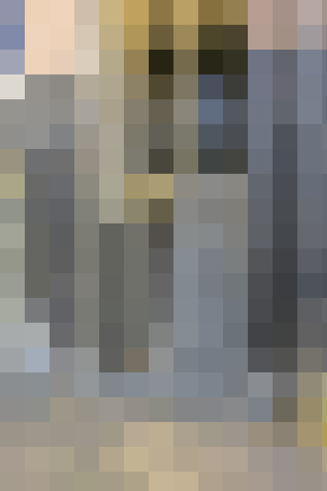 Image 15