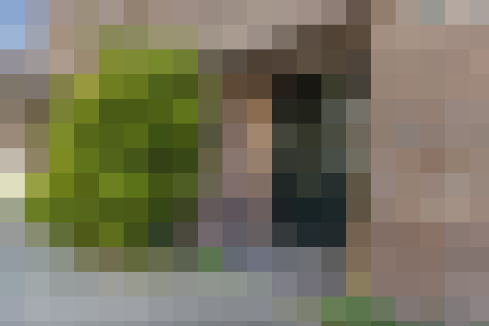 Image 20