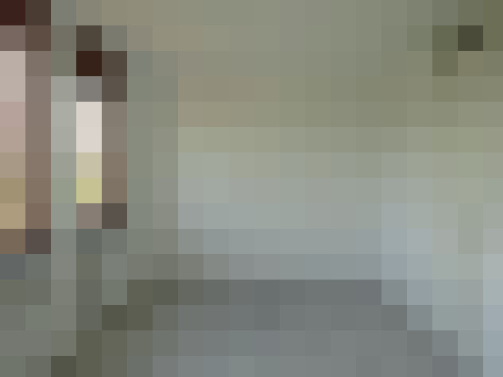 Image 13