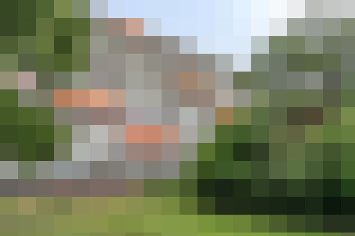 Image 30