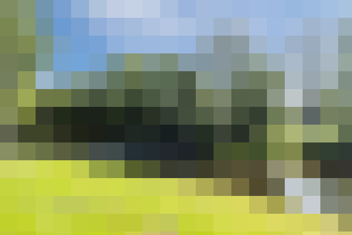Image 36