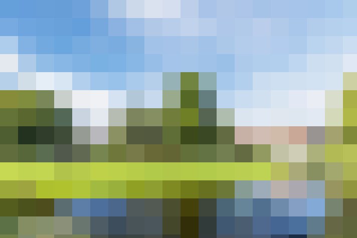 Image 39
