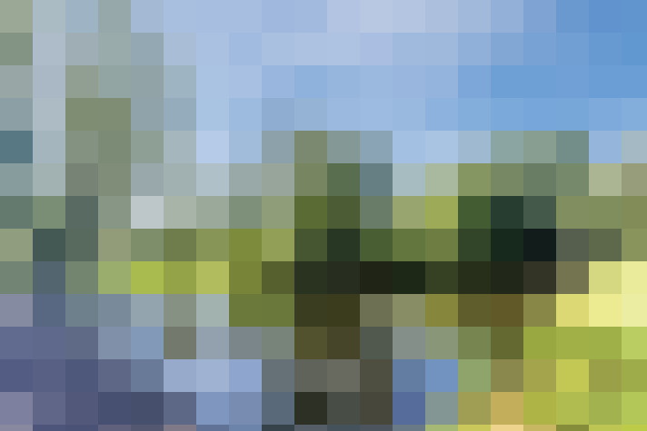 Image 37
