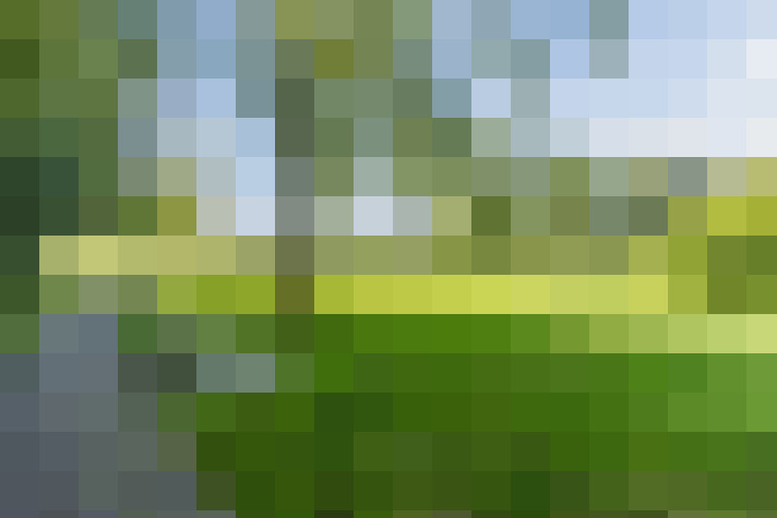 Image 38