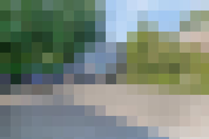 Image 31